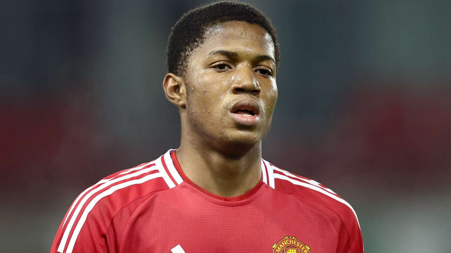 伍的团队深 伍的团队深