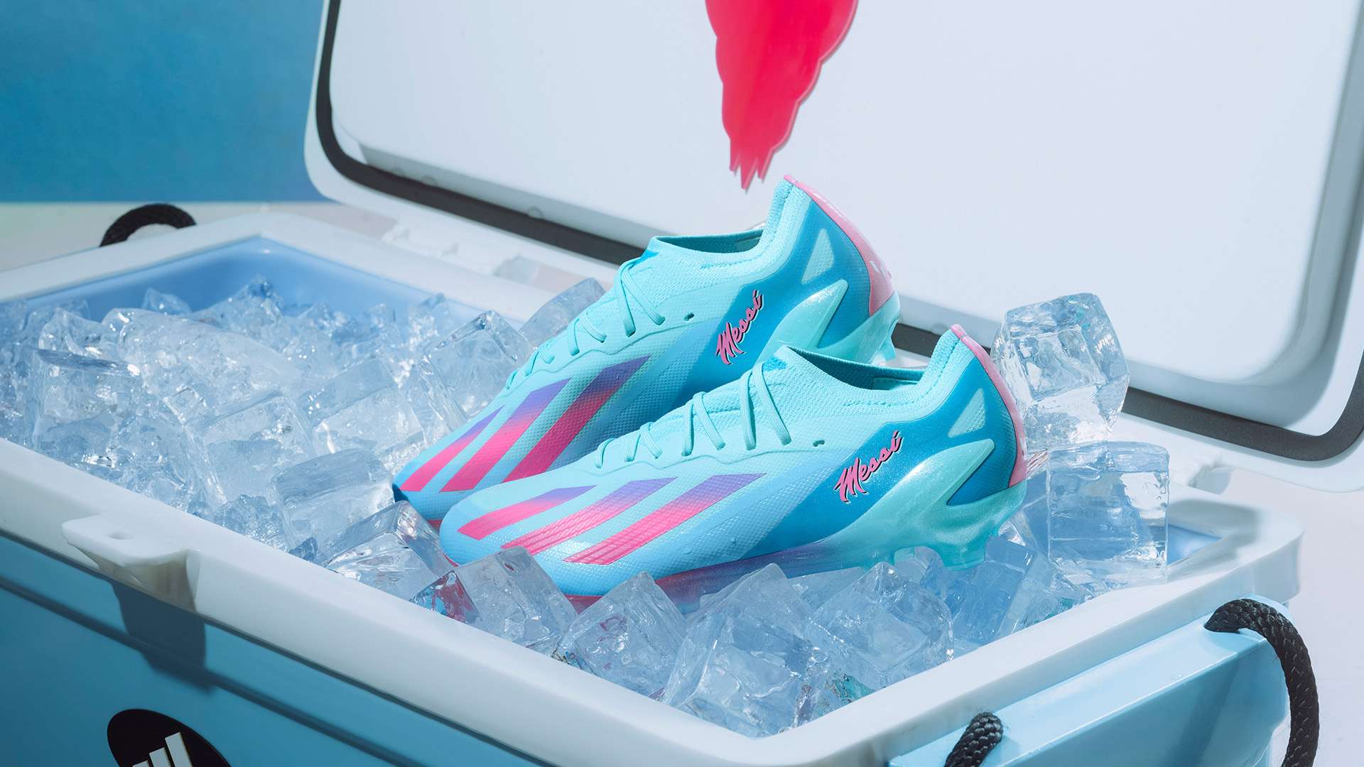 在这一联赛 在这一联赛