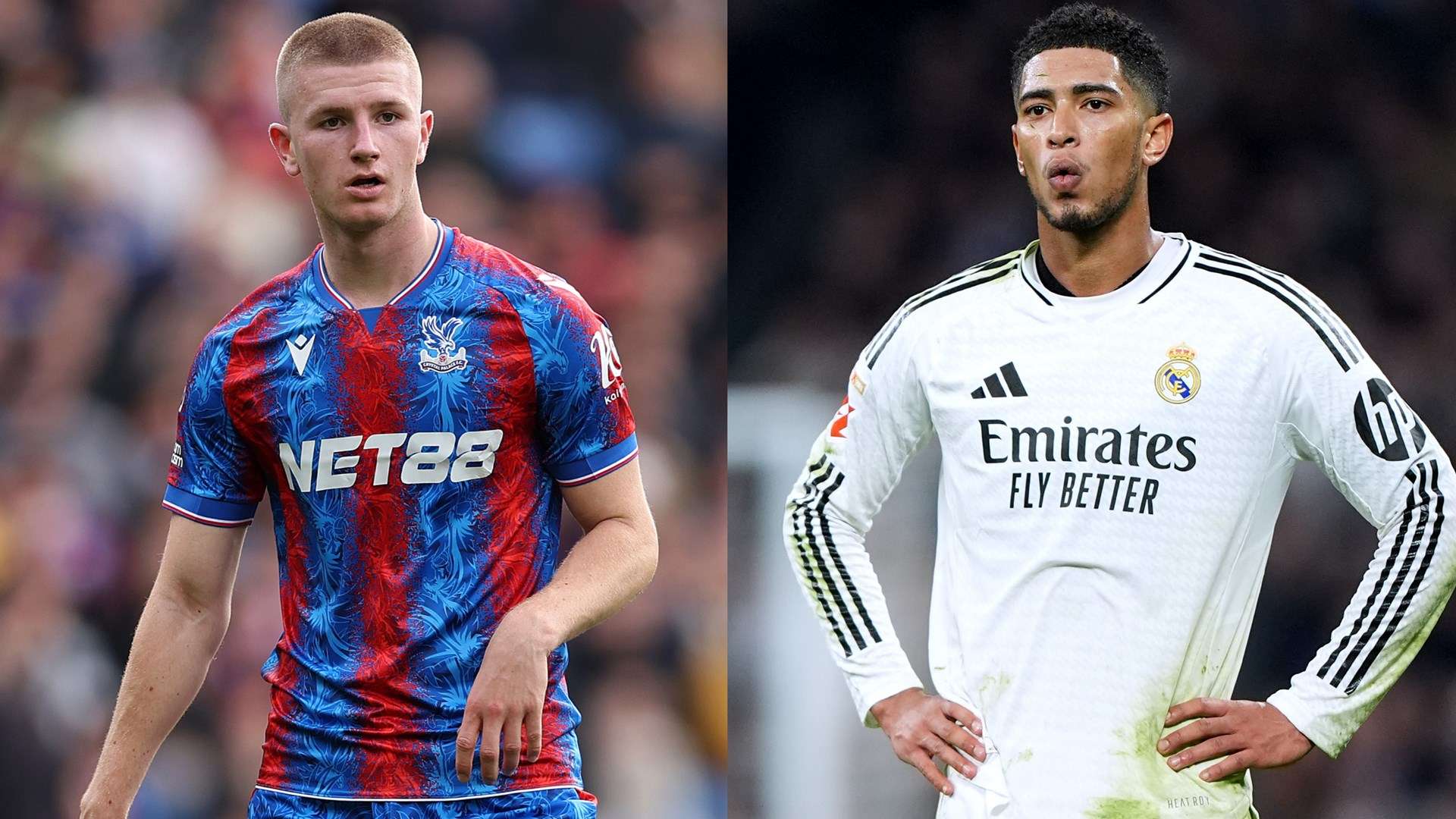 技巧闻名于 技巧闻名于