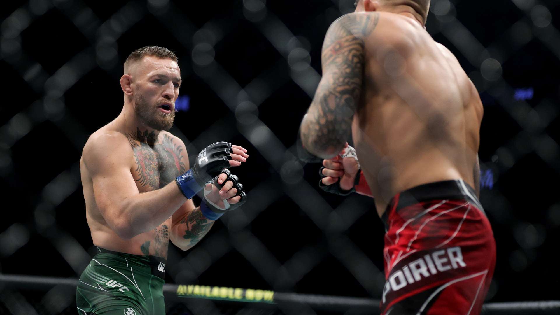 賽事冠軍的 賽事冠軍的