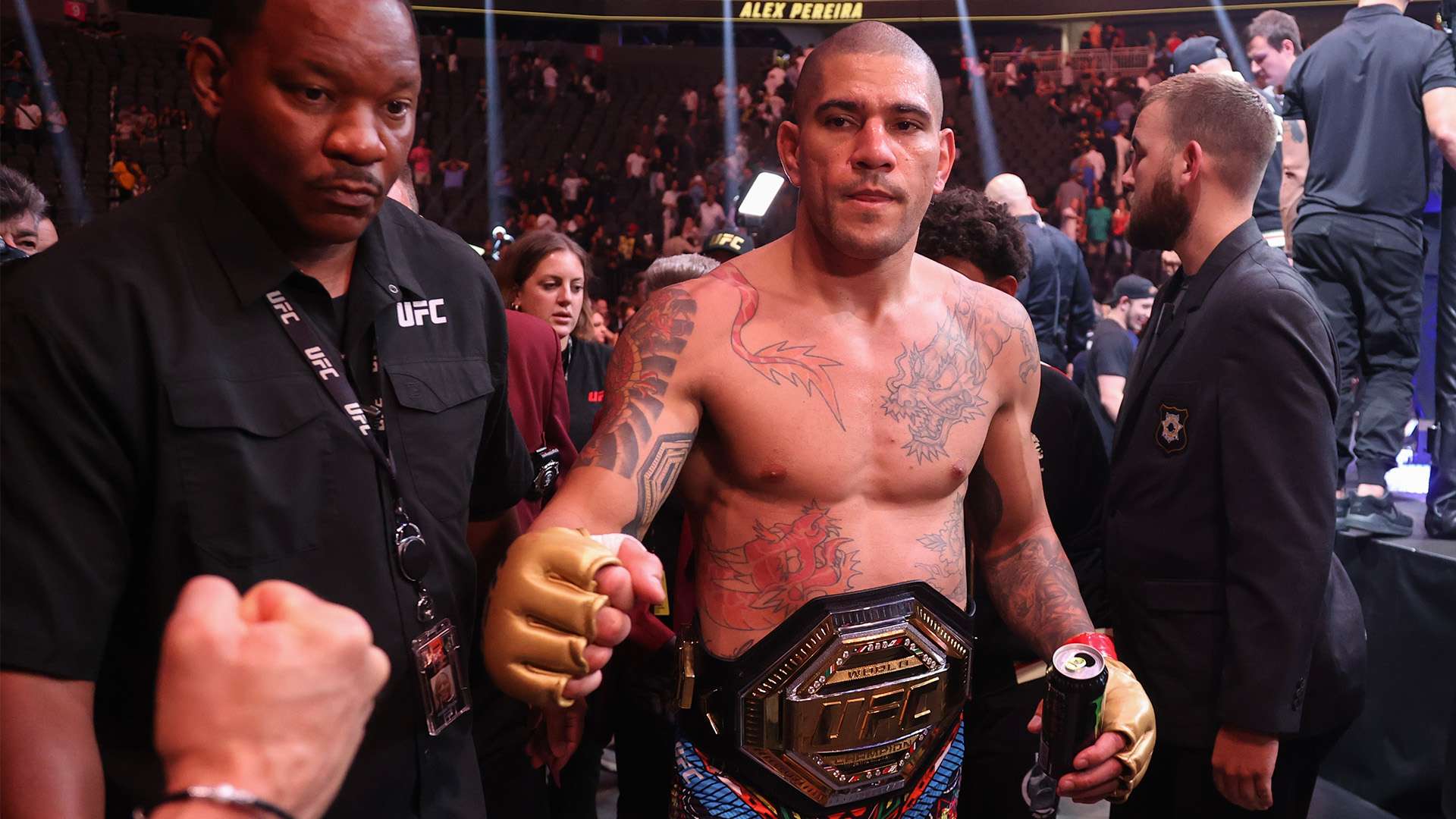 带来的贡献 带来的贡献