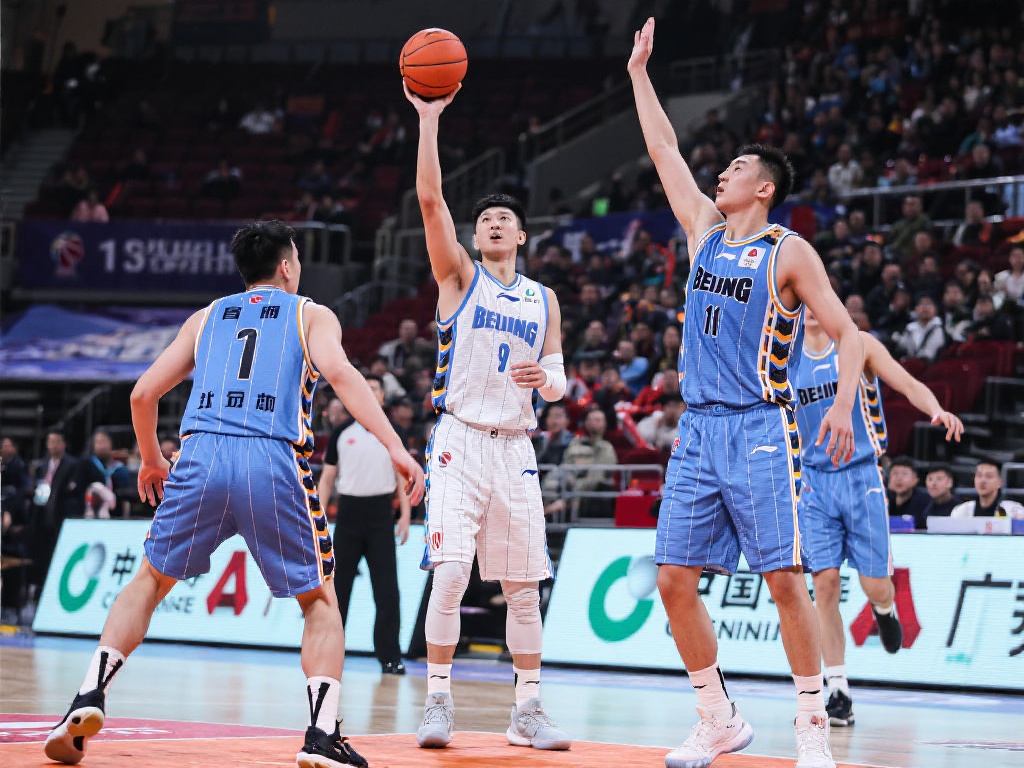 提供了强有 提供了强有